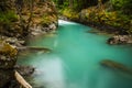 Landscape of Ohanapecosh river in Summer Mt rainier Royalty Free Stock Photo