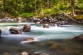 Landscape of Ohanapecosh river in Summer Mt rainier Royalty Free Stock Photo