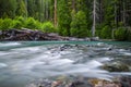 Landscape of Ohanapecosh river in Summer Mt rainier Royalty Free Stock Photo