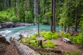 Landscape of Ohanapecosh river in Summer Mt rainier Royalty Free Stock Photo