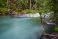 Landscape of Ohanapecosh river in Summer Mt rainier Royalty Free Stock Photo
