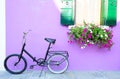 Landscape with an old bike