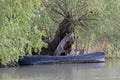 Landscape with old boat in the Danube Delta Royalty Free Stock Photo