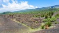 Landscape with old craters of Etna volcano Royalty Free Stock Photo