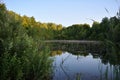 Landscape with old pond and forest on the bank Royalty Free Stock Photo