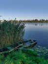 Landscape with an old rotten wooden boat and a lake with reeds in summer