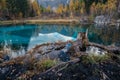 Landscape with old stump and blue lake. Altay Mountains. Russia.