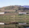 Landscape with old vineyards for the port wine Royalty Free Stock Photo