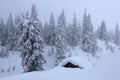 Landscape with old wooden huts. On the lawn covered with snow the nice trees are standing poured with snowflakes in frosty winter. Royalty Free Stock Photo