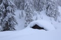 Landscape with old wooden huts. On the lawn covered with snow the nice trees are standing poured with snowflakes in frosty winter. Royalty Free Stock Photo