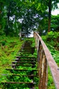 Landscape of old wooden stairs in the forest Royalty Free Stock Photo