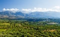 Landscape and Olive Groves in south Crete. Agriculture and Olive Groves determine the picture on the Island. Royalty Free Stock Photo