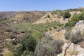 Landscape with olive trees on the island of Crete, Greece Royalty Free Stock Photo