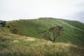 Landscape on omuro mountain