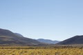 immense desert, Landscapes of the Atacama Desert, Chile, Vicuna grazing