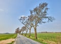 Landscape of open road near leaning trees due to strong winds. A beautiful windy summer day with roadway or route near Royalty Free Stock Photo