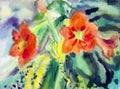 Landscape original painting on paper colorful of Amaryllis flowers.