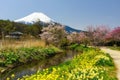 Oshino Hakkai village with sakura and Fujisan Royalty Free Stock Photo