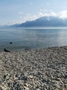 Landscape over lake Geneva and the dents du midi with a crow and a duck as middle ground Royalty Free Stock Photo