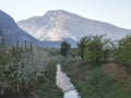 Landscape over trentino Valley apple and grapes Royalty Free Stock Photo