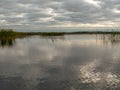 Landscape with overgrown lake, dry reeds, cloudy skies