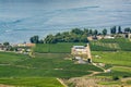 Landscape overview with farmer`s land at Okanagan lake on summer day Royalty Free Stock Photo