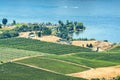 Landscape overview with farmer`s land at Okanagan lake on sunny summer day