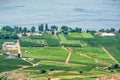 Landscape overview with farmer's land at Okanagan lake on summer day Royalty Free Stock Photo