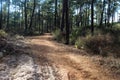 National Park of the Serra de Sao Mamede forest in portugal