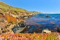Landscape of Pacific Ocean at Garrapata State Park Royalty Free Stock Photo