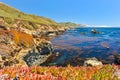 Landscape of Pacific Ocean at Garrapata State Park