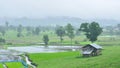 Landscape of paddy field in rainy day, Agriculture scene Royalty Free Stock Photo