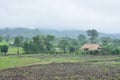 Landscape of paddy field in rainy day, Agriculture scene Royalty Free Stock Photo