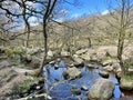 Padley Gorge River in Derbyshire Peak District