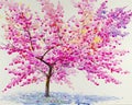 Landscape painting red,pink color of Wild Himalayan Cherry flower Royalty Free Stock Photo