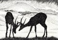 Landscape with pair antelopes against the sunrise. Hand drawn in chinese ink with paper texture. Inkdrawn collection. Bitmap image Royalty Free Stock Photo