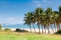 Landscape palm beach, Sanya, China