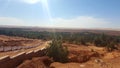 Landscape of the palm grove of timimoun Royalty Free Stock Photo