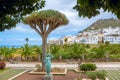 Landscape with palm park and residential district in Las Palmas. Gran Canaria, Spain