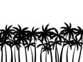 Landscape with palm trees. Black silhouettes of palm trees on a white background. Design for poster, travel banner. Vector Royalty Free Stock Photo