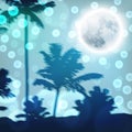 Landscape with palm trees and full moon at night Royalty Free Stock Photo