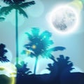 Landscape with palm trees and full moon at night Royalty Free Stock Photo