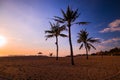 Landscape. Palm trees growing on a sandy beach. Beautiful scenery. Sunrise time. Nusa Dua beach, Bali, Indonesia Royalty Free Stock Photo