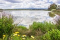 Palo Alto Baylands Park, California Royalty Free Stock Photo