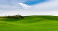 Landscape of Palouse Hills covered in green grass in Washington, USA Royalty Free Stock Photo