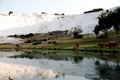 Landscape of Pamukkale, Turkey, Royalty Free Stock Photo