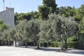 Athens, september 6th: Landscape from Panathenaic Stadium in Athens of Greece