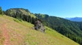 Olympic National Park Landscape Panorama of Alpine Meadows along Hurricane Ridge, Washington State, USA Royalty Free Stock Photo