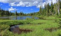 Landscape Panorama of Paradise Meadows on the Forbidden Plateau, Strathcona Provincial Park, Vancouver Island, British Columbia Royalty Free Stock Photo