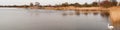 Landscape panorama of lake. Marshy area with dry yellow reeds overgrown along the shores of the lake autumn season Royalty Free Stock Photo